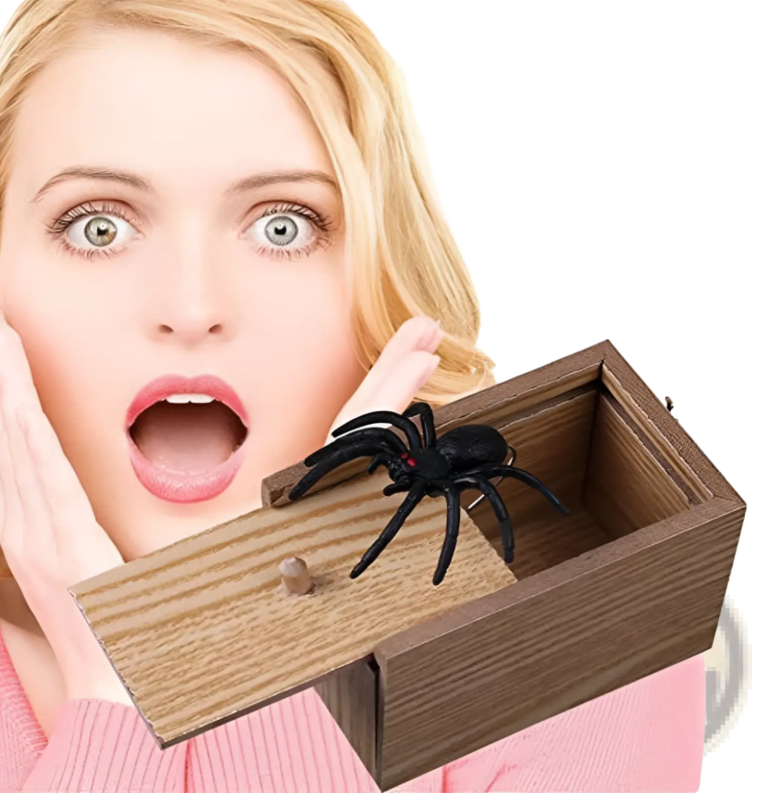Black plastic spider with red eyes emerging from wooden surprise box in spider prank scare box wooden trick toy