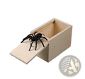 Black plastic spider toy inside a light wooden sliding box for spider prank scare box wooden trick surprise toy