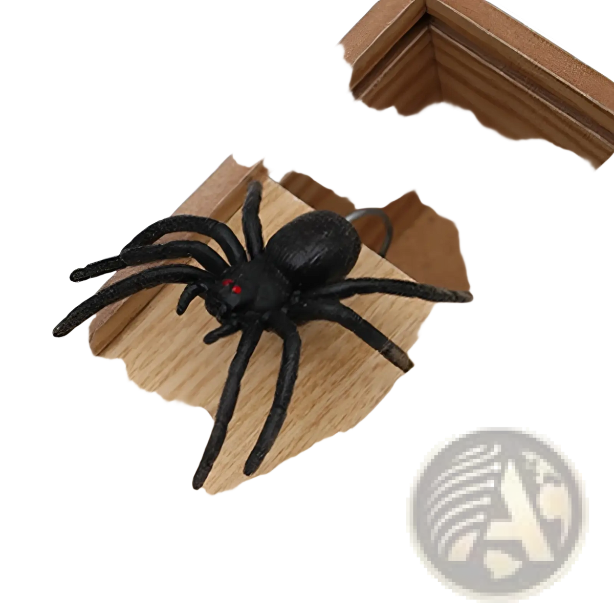Black plastic spider with red eyes inside wooden prank scare box designed as a trick surprise toy