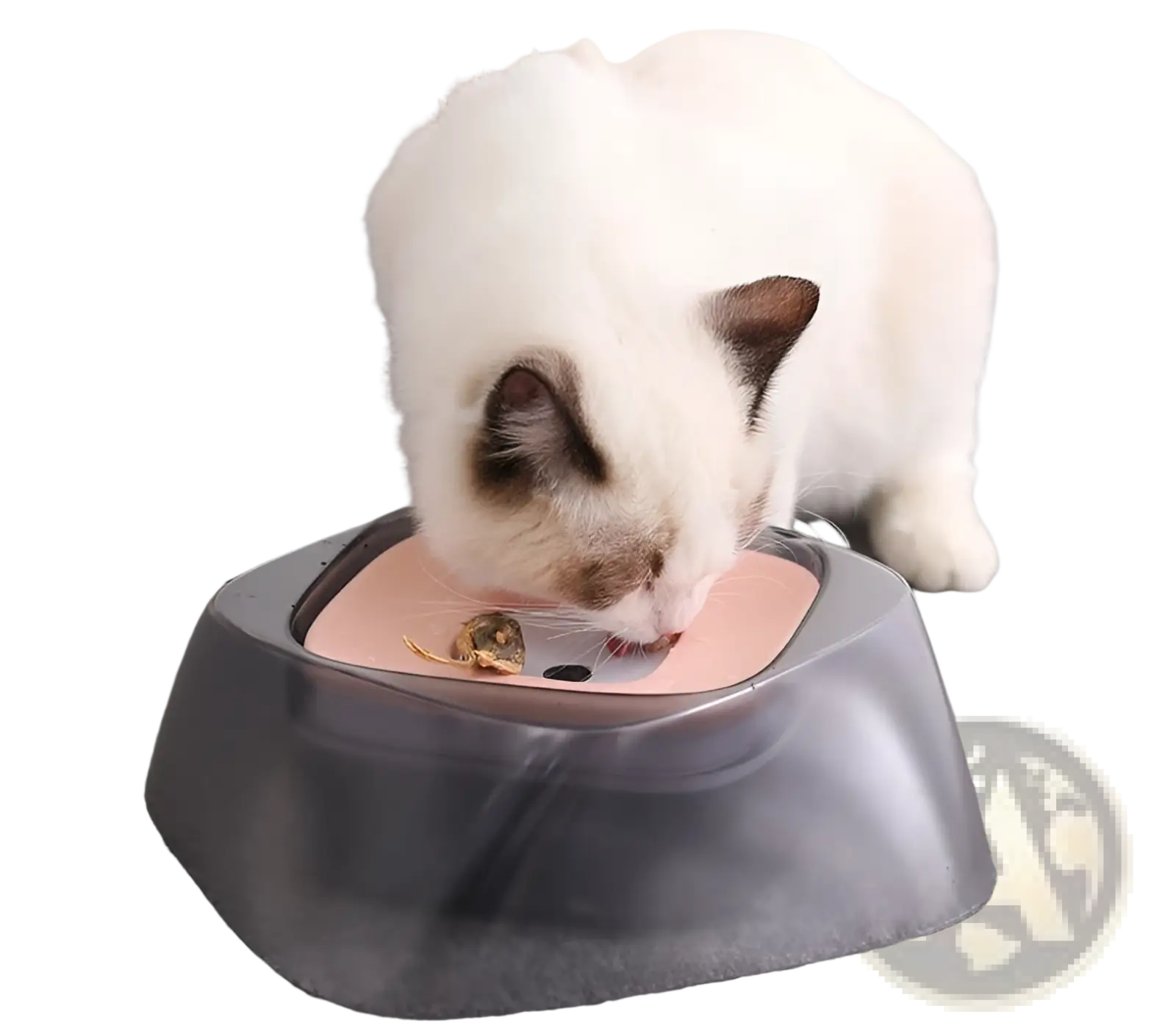 A sleek no spill dog water bowl with a matte black base and soft pink splash free pet feeder surface