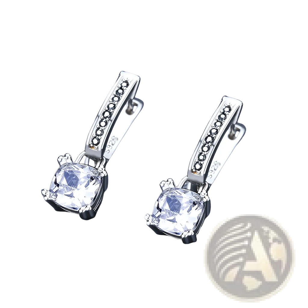 Silver drop earrings featuring a clear cubic zirconia stone and black diamond accents on a silver hoop design