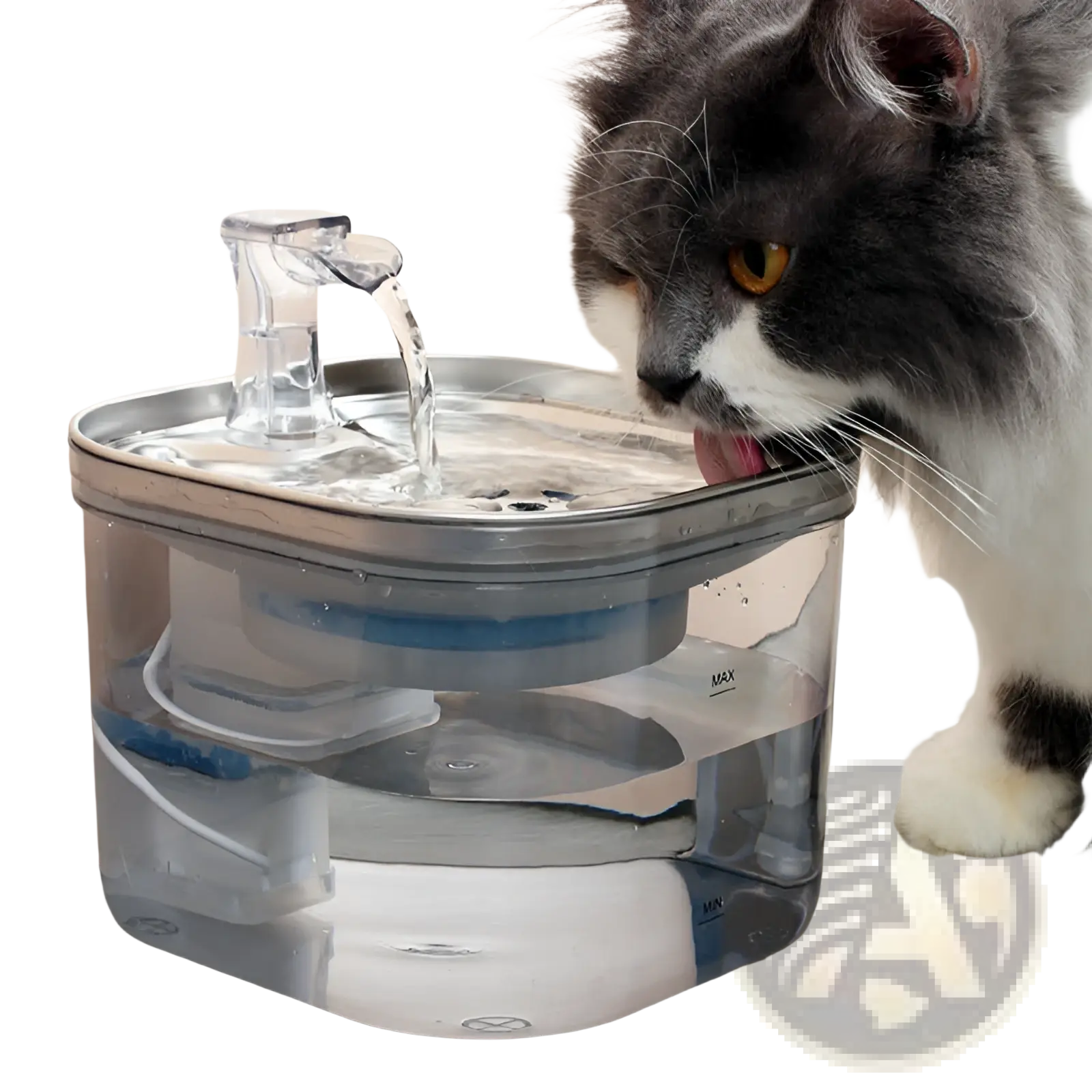 Clear plastic automatic pet water fountain with silver stainless steel rim and faucet for continuous hydration