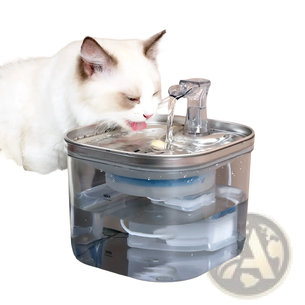 Stainless steel cat water fountain with clear plastic reservoir and automatic flowing water dispenser for pets