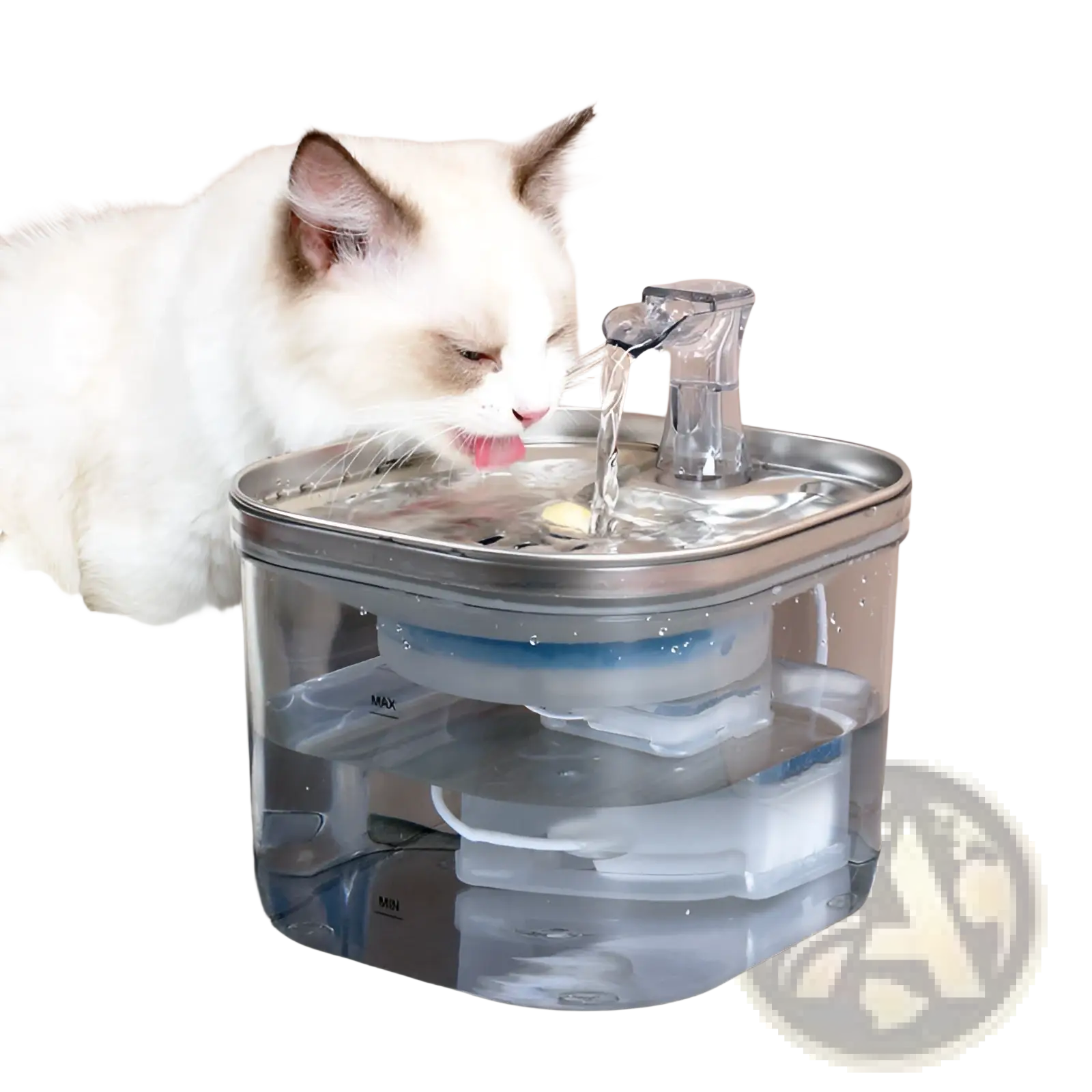 Stainless steel cat water fountain with clear plastic reservoir and automatic flowing water dispenser for pets