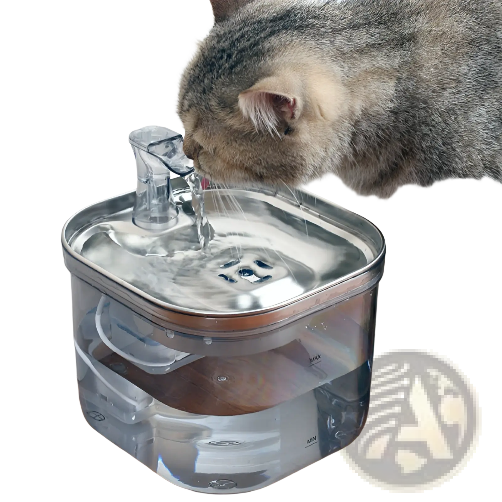 Clear plastic cat water fountain with stainless steel top and spout for automatic pet water dispensing