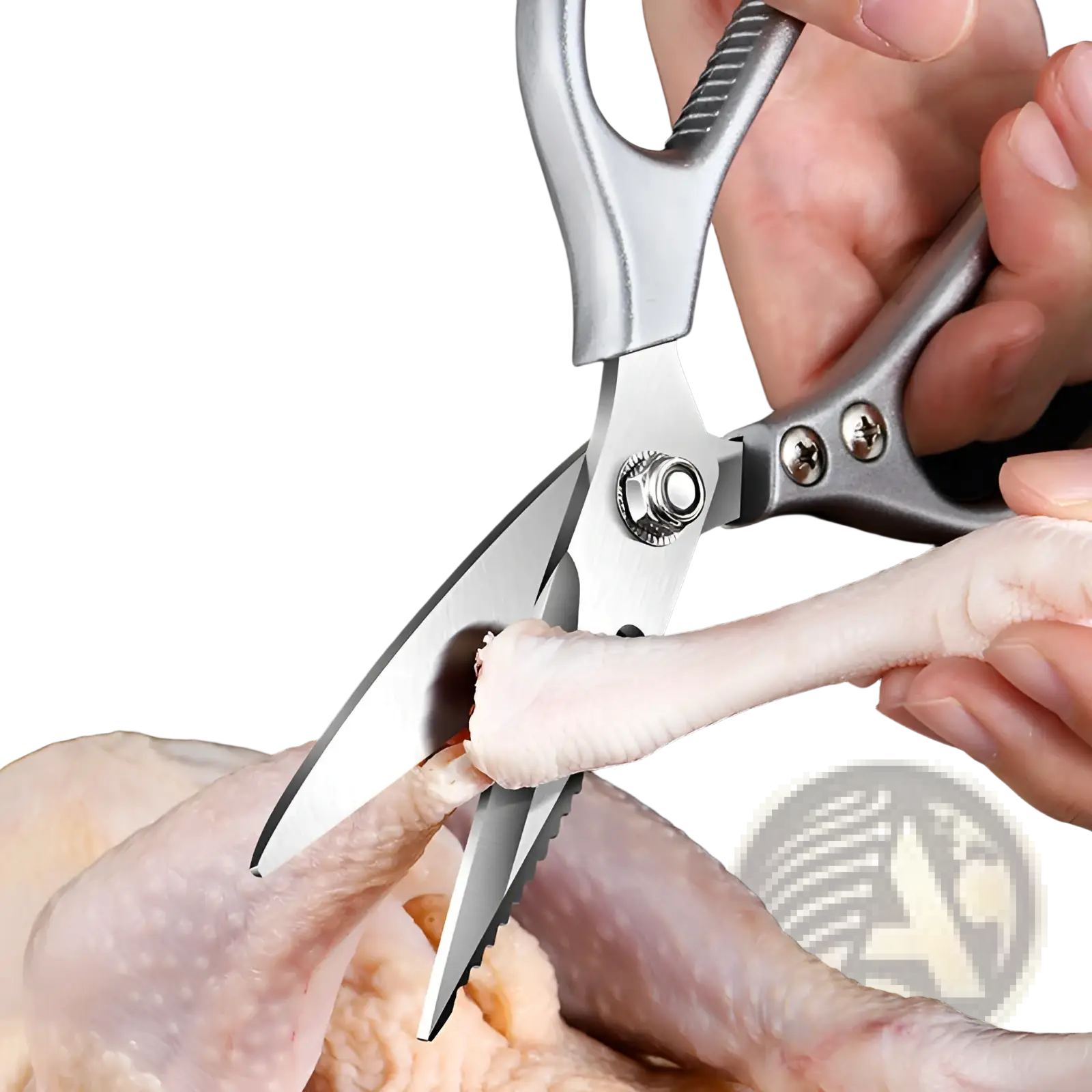 Silver stainless steel kitchen shears with textured handles and serrated blades for meat and seafood use