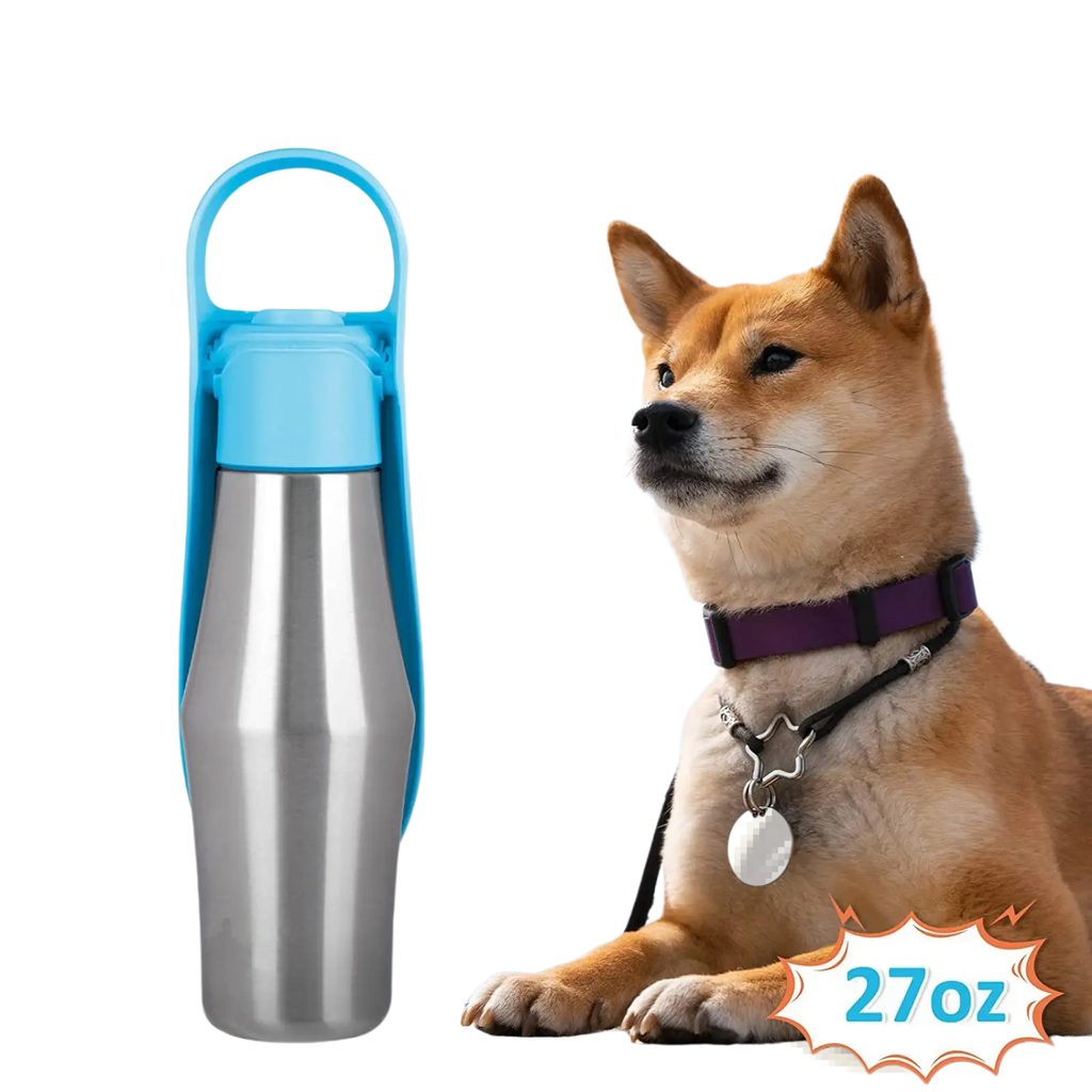 Blue and stainless steel pet water bottle with silicone bowl and handle designed for easy carrying and outdoor use