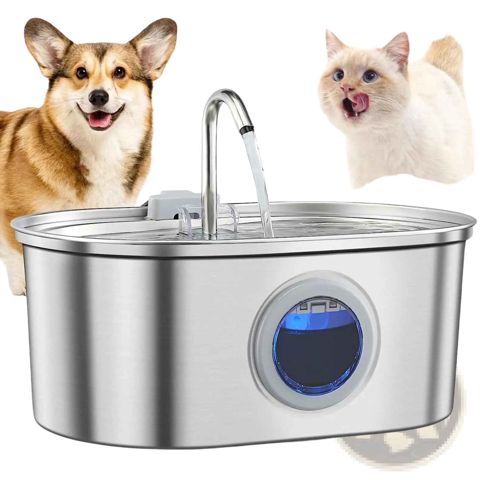Stainless steel pet water fountain with filter featuring a curved spout and blue-lit circular display