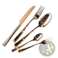 Shiny stainless steel travel cutlery set with knife two forks and two spoons featuring sleek modern handles