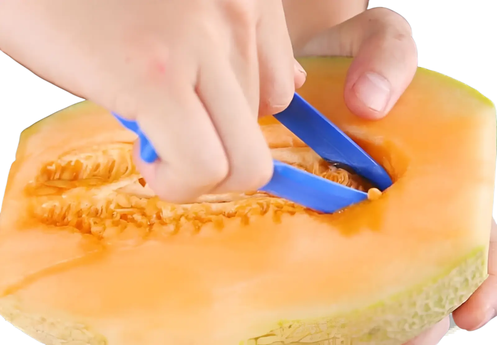 Blue plastic melon cutter from stainless steel vegetable peeler set 3 pack for efficient fruit and vegetable peeling
