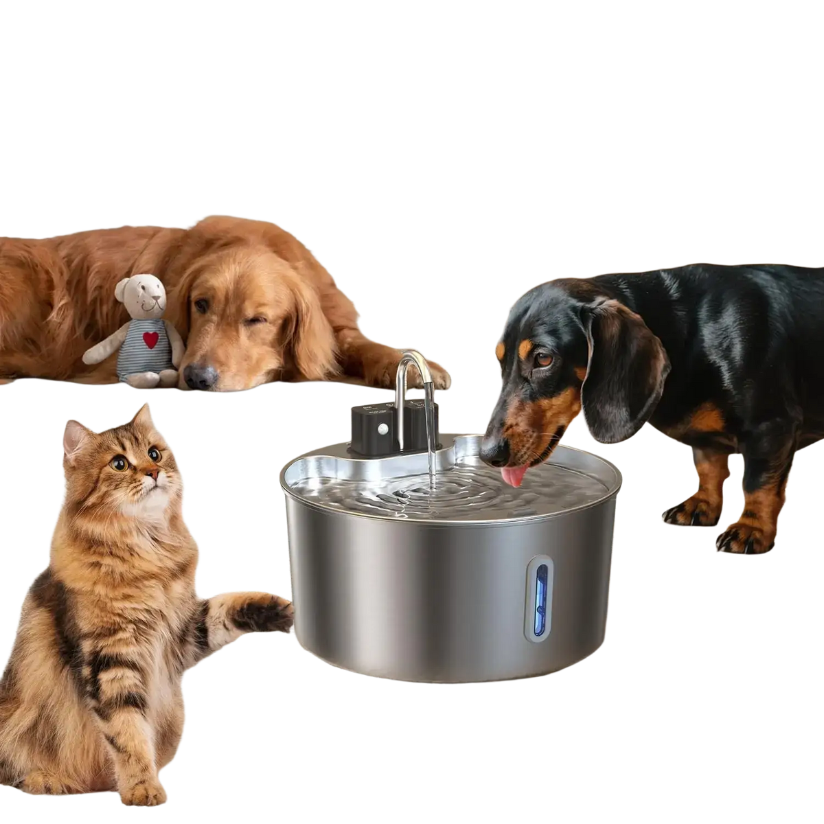 Silver stainless steel wireless cat water fountain 7l with sleek curved design and blue led indicator light