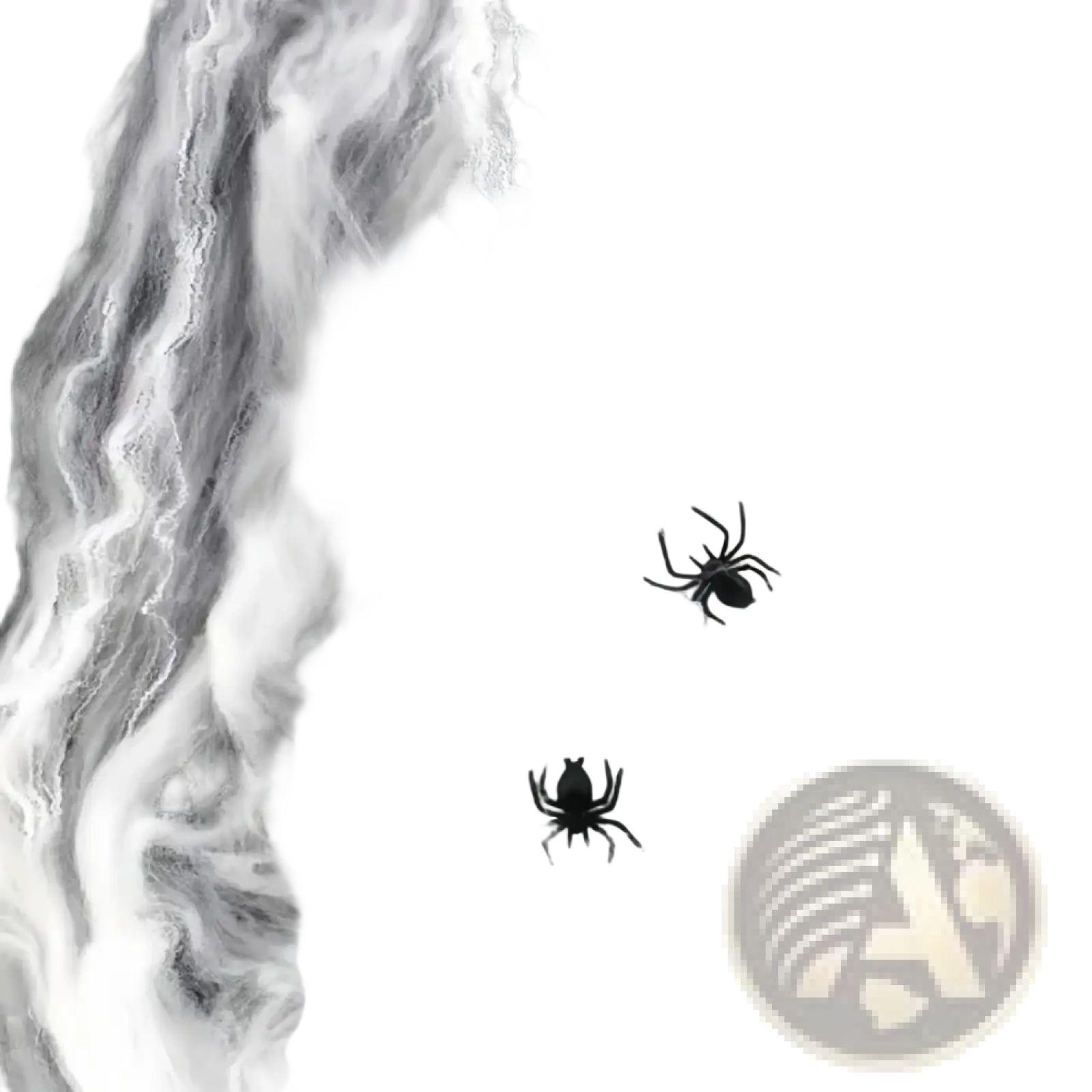 Black plastic spiders resting on a stretchable white wispy halloween spider web decoration for spooky decor