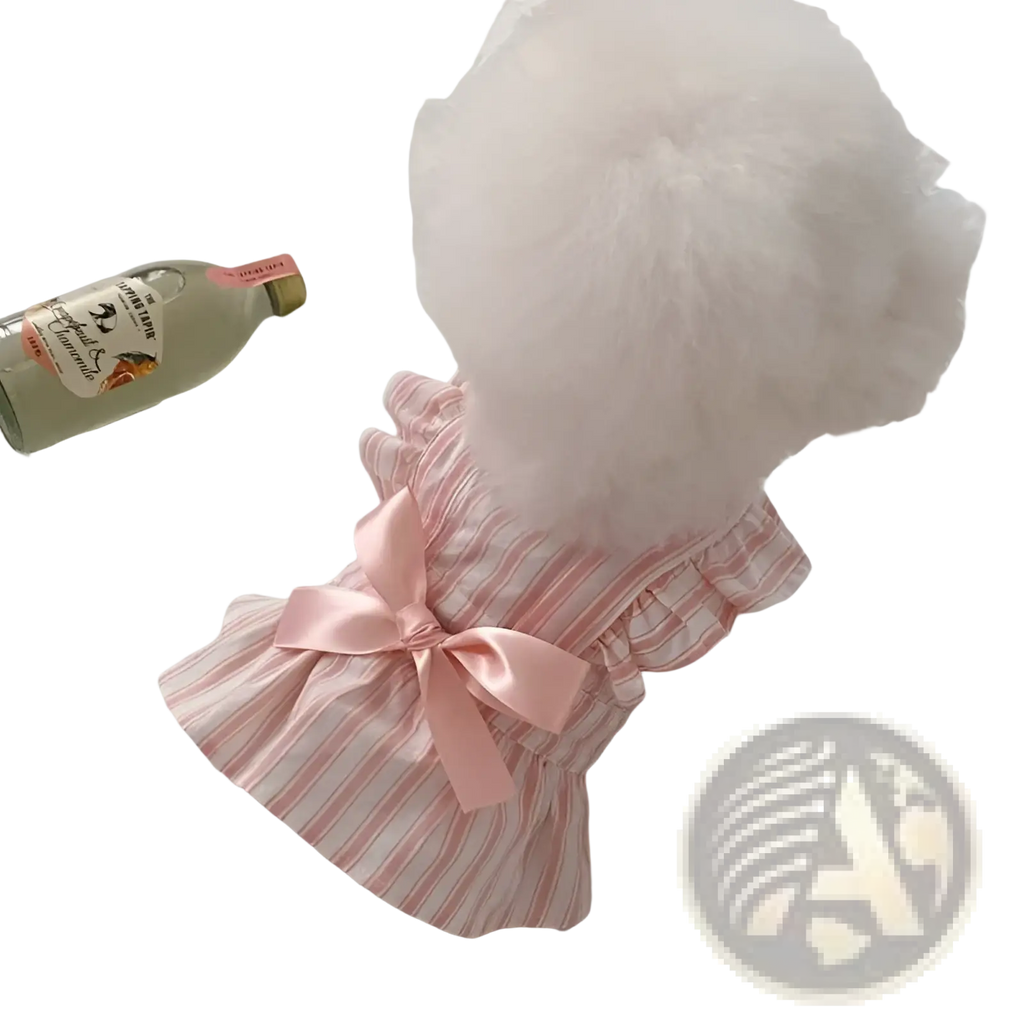 A fluffy white dog wearing a pink and white striped ruffled satin princess dress with a bow at the back