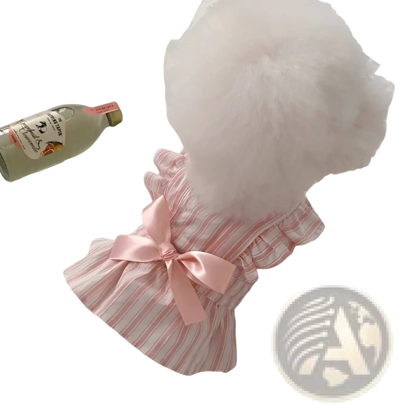A fluffy white dog wearing a pink and white striped ruffled satin princess dress with a bow at the back