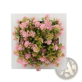 Succulent wall decor with 3d pink and green artificial hanging plants in a white wooden frame