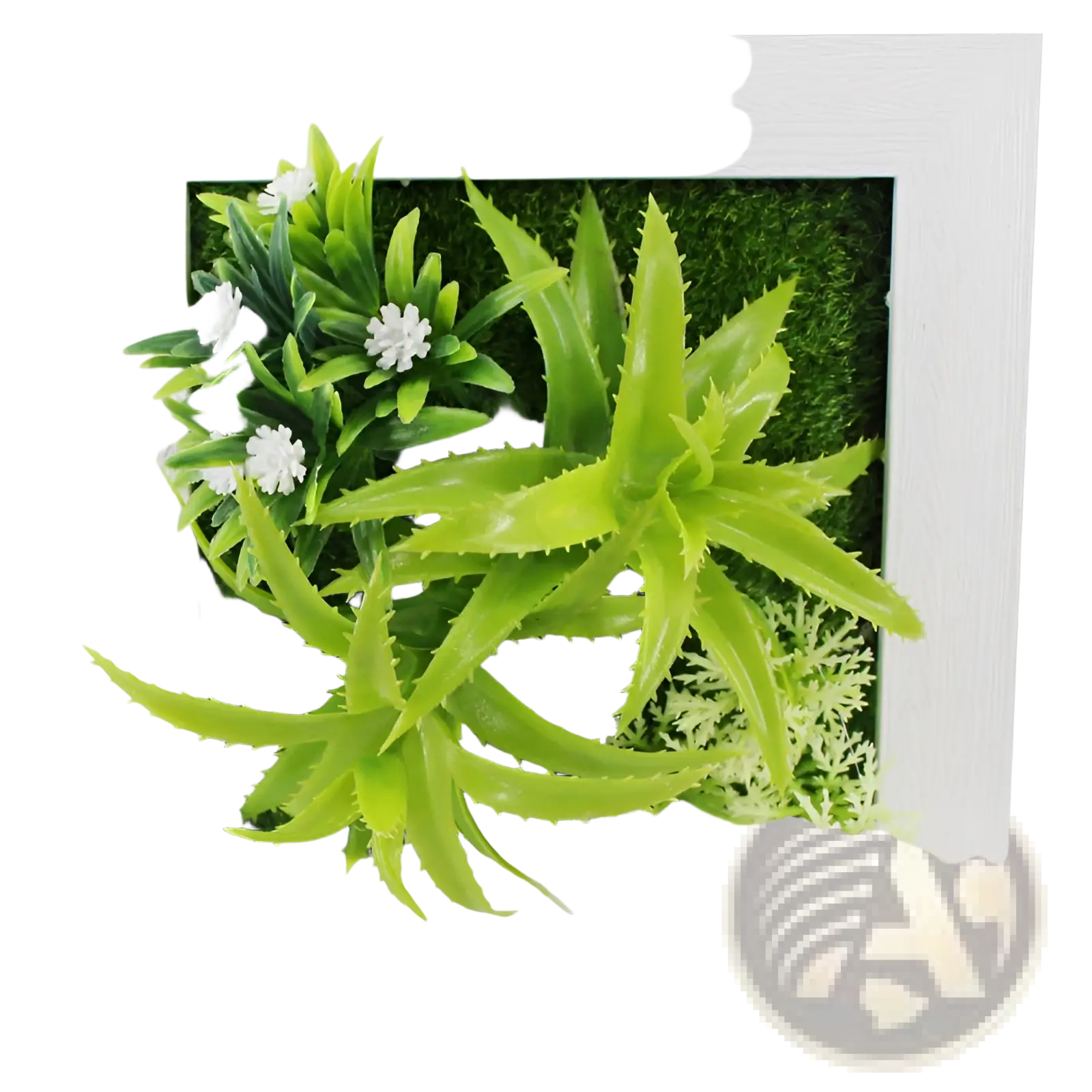 White-framed succulent wall decor featuring 3D artificial green aloe vera plants and white flowers on moss background