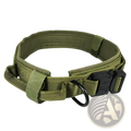 Olive green tactical dog collar made of durable 1000d nylon with black plastic buckle and metal ring for adjustment