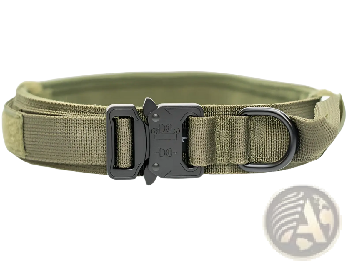 Olive green tactical nylon dog collar with heavy duty black plastic buckle and metal d-ring for pet use
