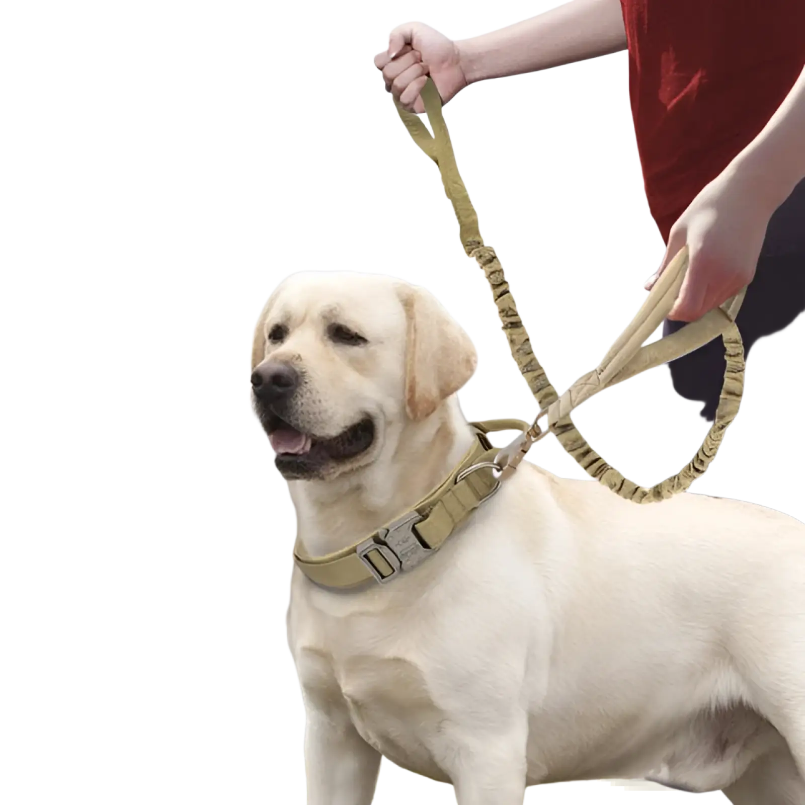 Tan elastic tactical nylon dog leash with sturdy metal buckle and adjustable strap for heavy duty use