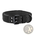 Black tactical nylon dog collar with durable webbing and a sturdy metal buckle for secure use