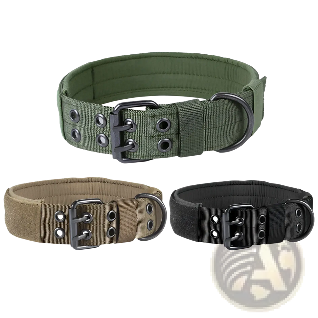 Tactical nylon dog collar with metal buckle in olive green tan and black featuring durable nylon webbing and metal hardware