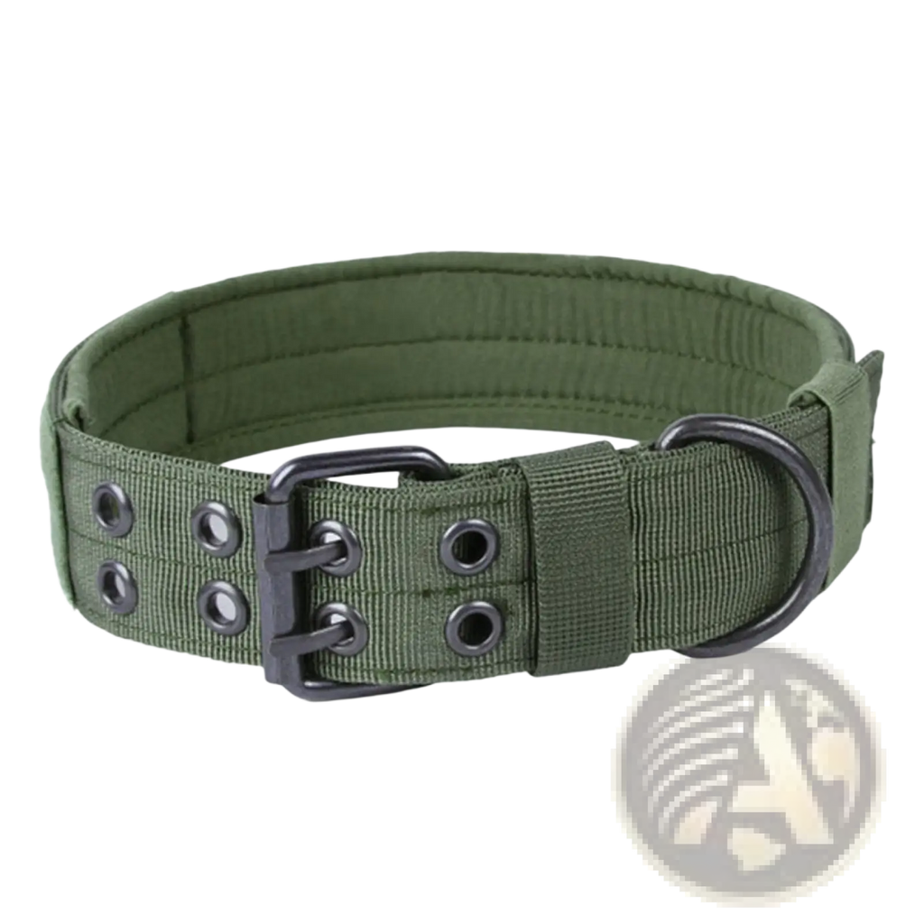 Olive green tactical nylon dog collar with black metal buckle and d-ring for secure outdoor use