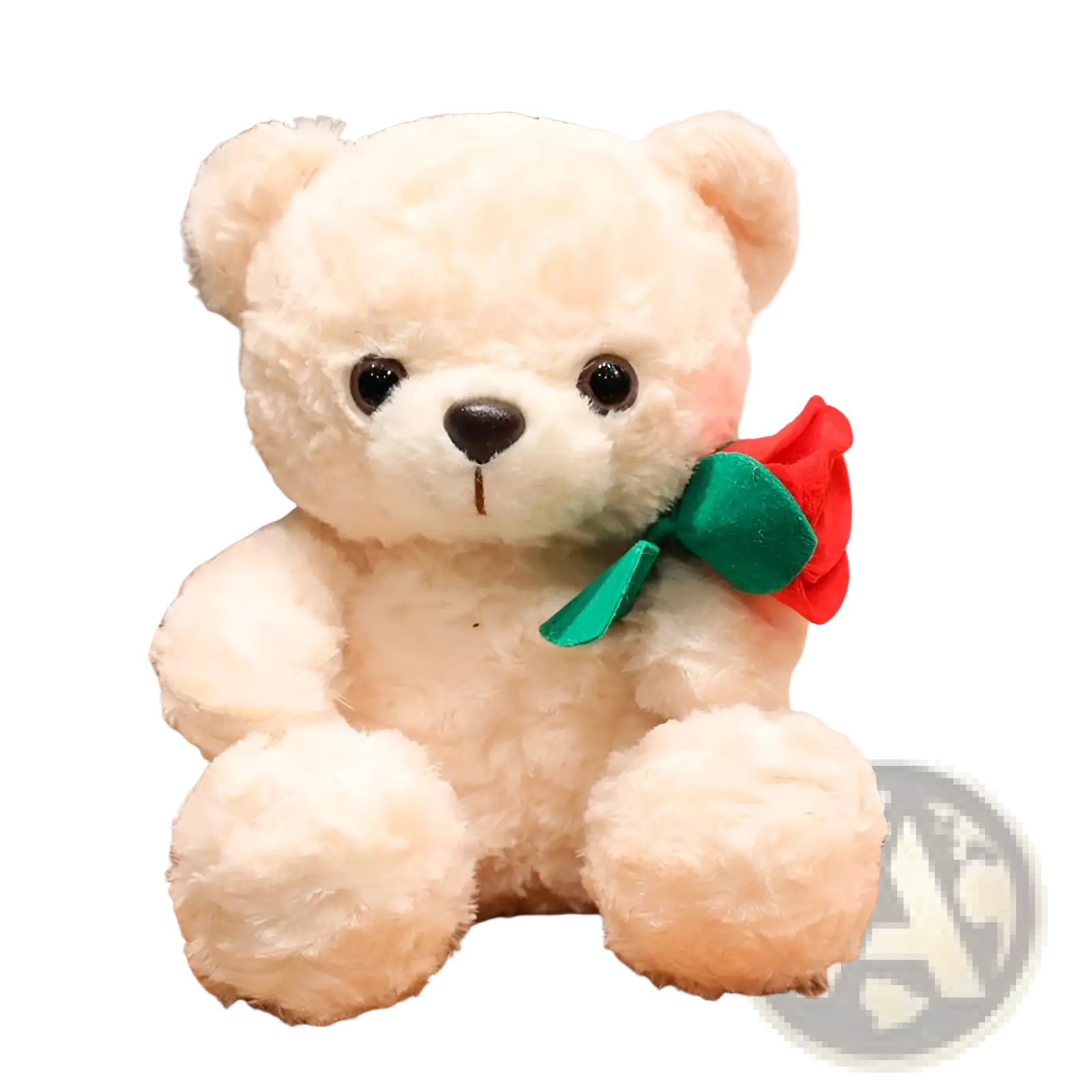 A soft cream-colored plush teddy bear with black button eyes holding a red rose for valentine gift 16-25cm