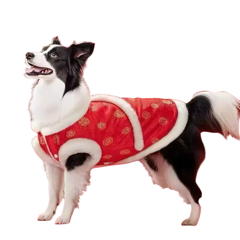 Red festive dog coat with white fur trim and gold traditional chinese pattern for large dogs pet clothing