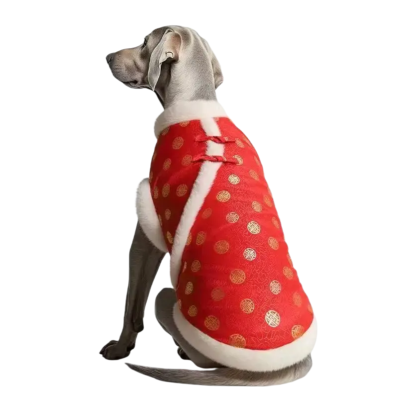 Red velvet pet clothing for large dogs with gold traditional chinese pattern and white faux fur trim