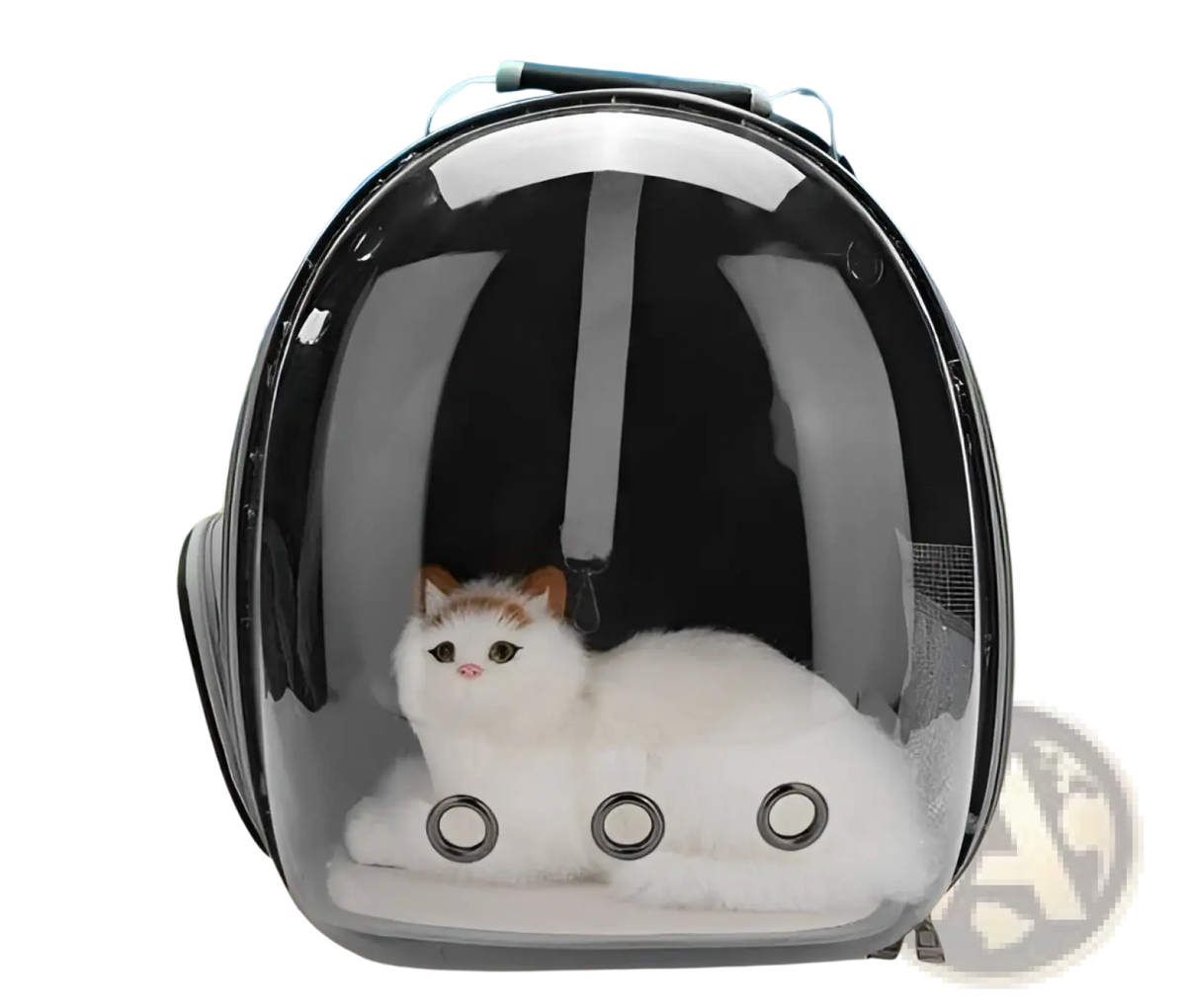 A white fluffy cat with orange ears rests inside a transparent black astronaut pet bubble backpack carrier