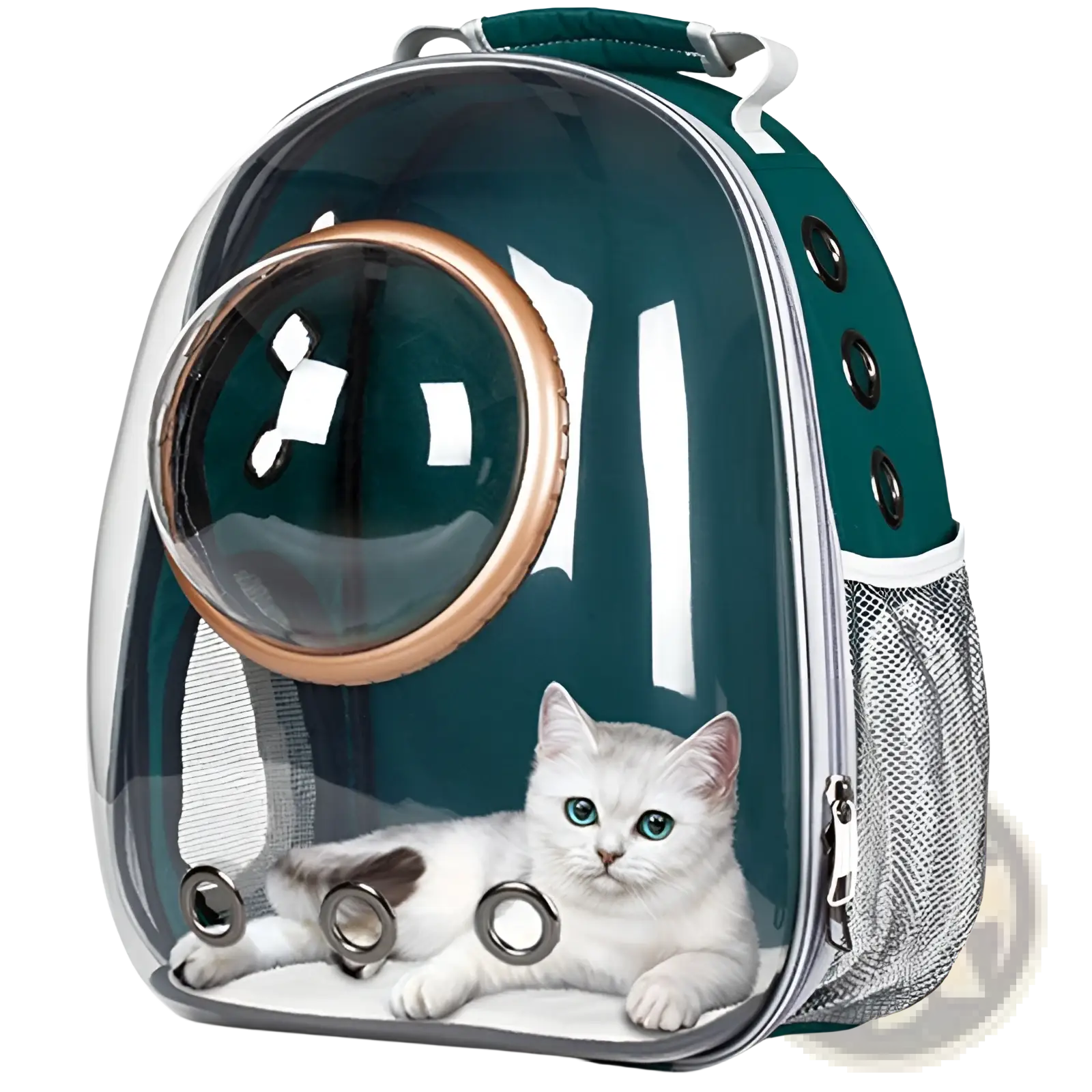 A sleek transparent astronaut cat bubble backpack carrier with teal and silver design and a circular porthole window