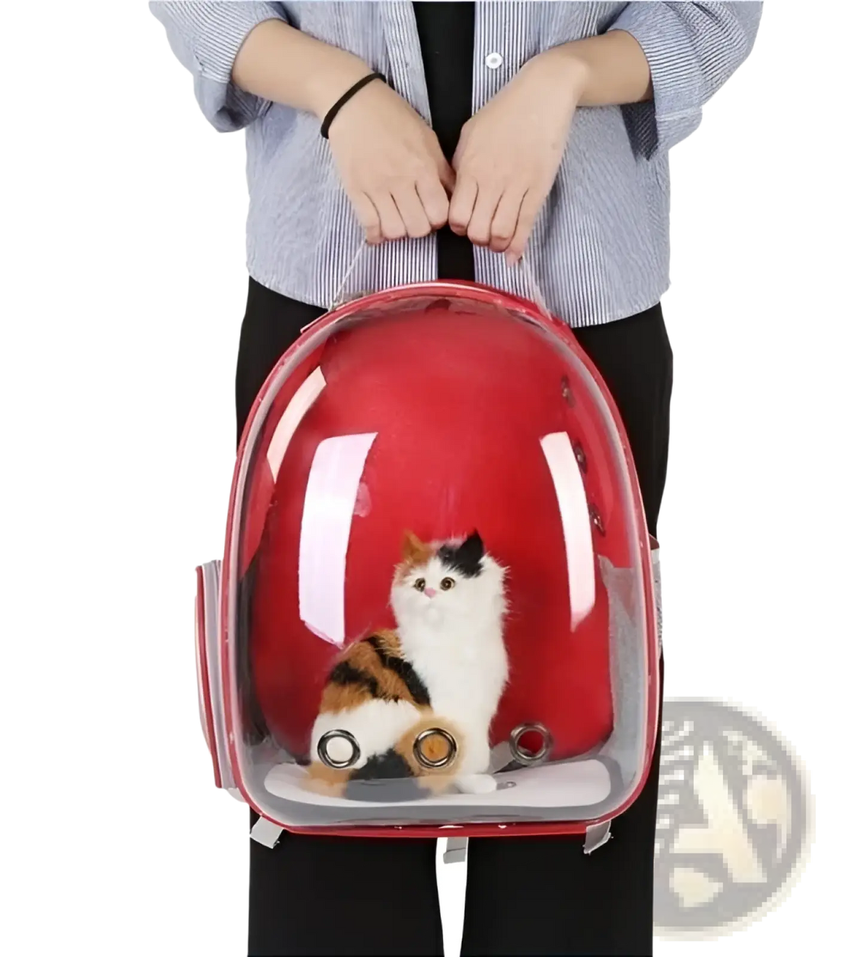 Red transparent pet backpack made of durable material with a calico cat inside for astronaut bubble carrier use