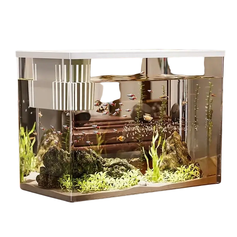 Transparent desktop fish tank with white lid and internal filtration housing small fish among green plants and dark rocks
