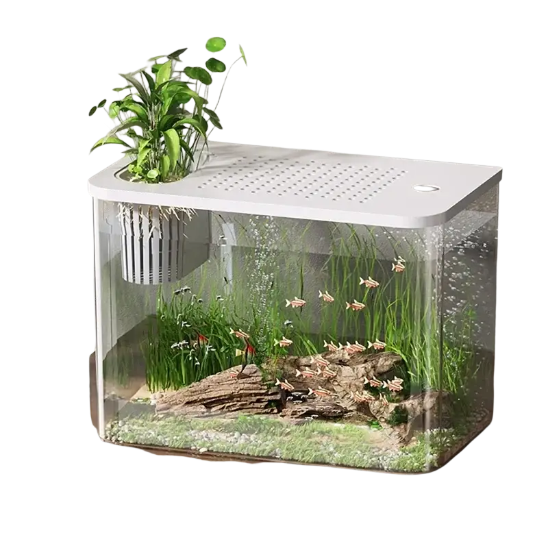 Transparent desktop fish tank with a white lid featuring green aquatic plants and small fish in a glass aquarium