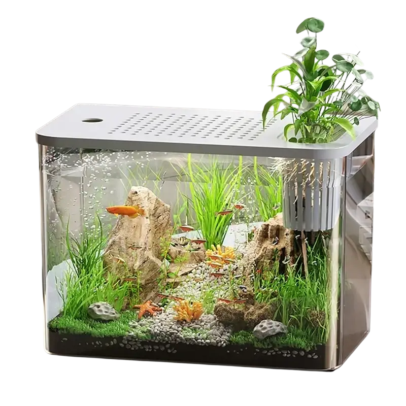 Modern transparent desktop fish tank with clear glass sides, white perforated lid, pump, green plants, rocks, and orange fish