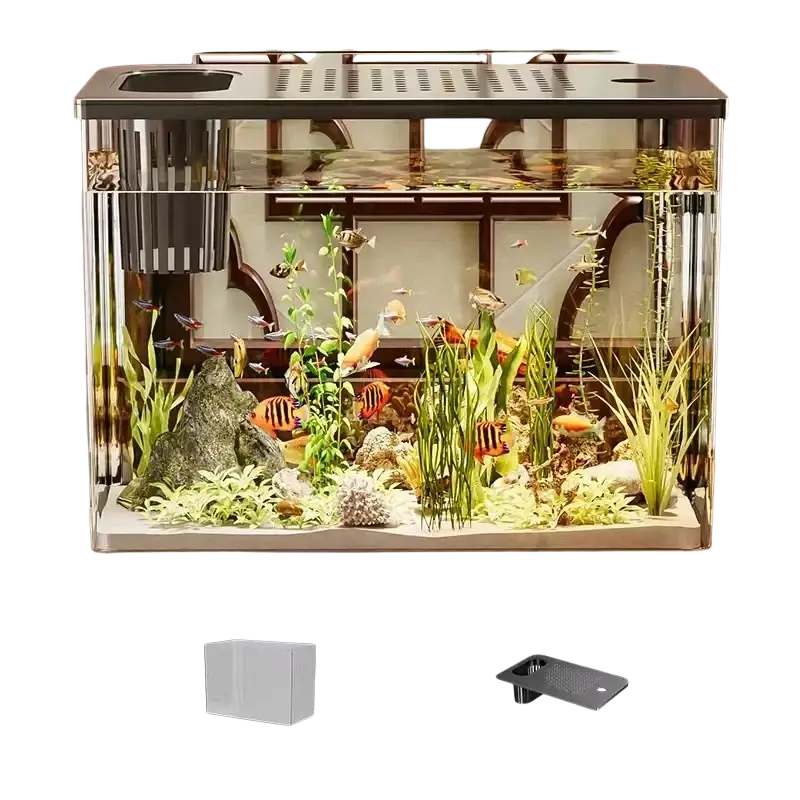 Rectangular transparent desktop fish tank with black lid silver trim and built-in filter system for easy maintenance