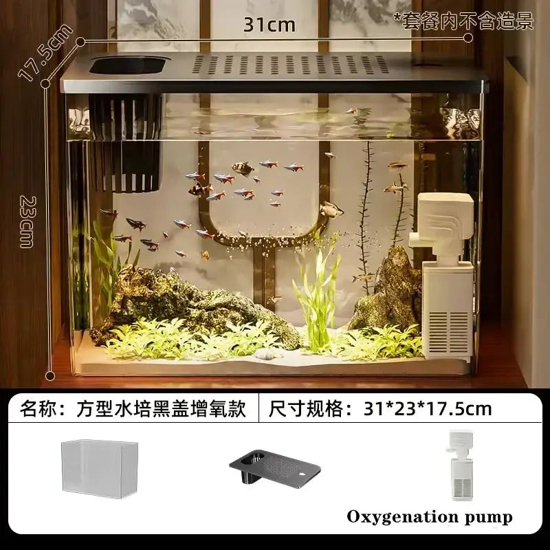 Rectangular transparent desktop fish tank with black lid and internal filtration system sized 31cm by 23cm by 17.5cm