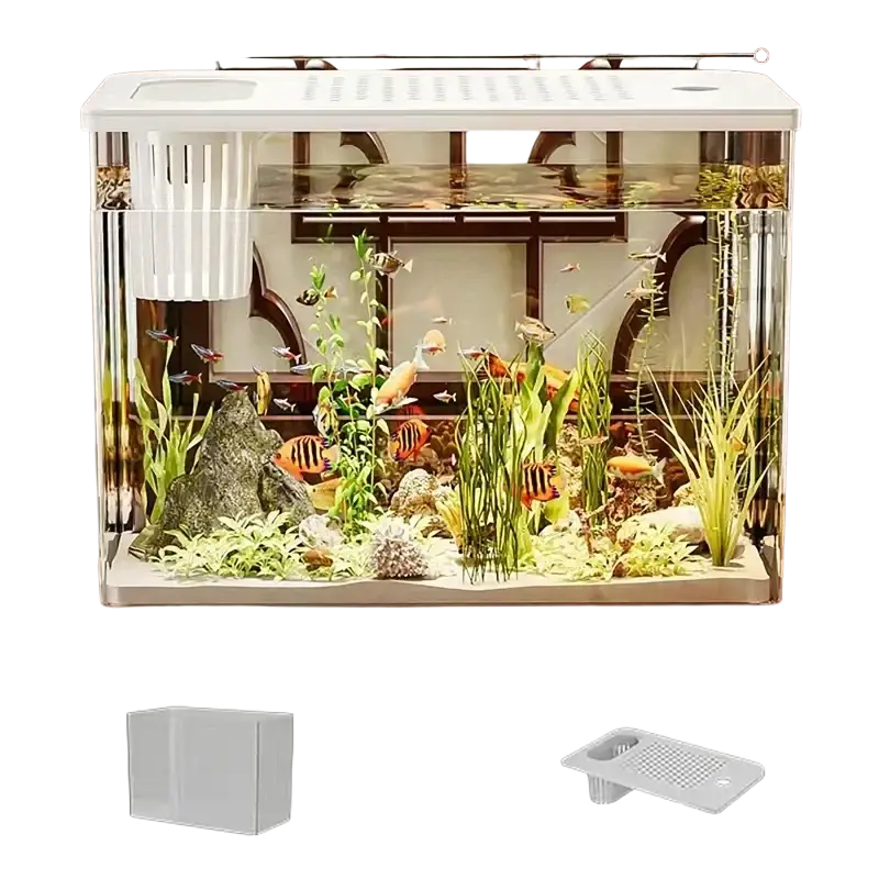 Transparent desktop fish tank with clear glass sides and built-in white filtration system featuring colorful tropical fish
