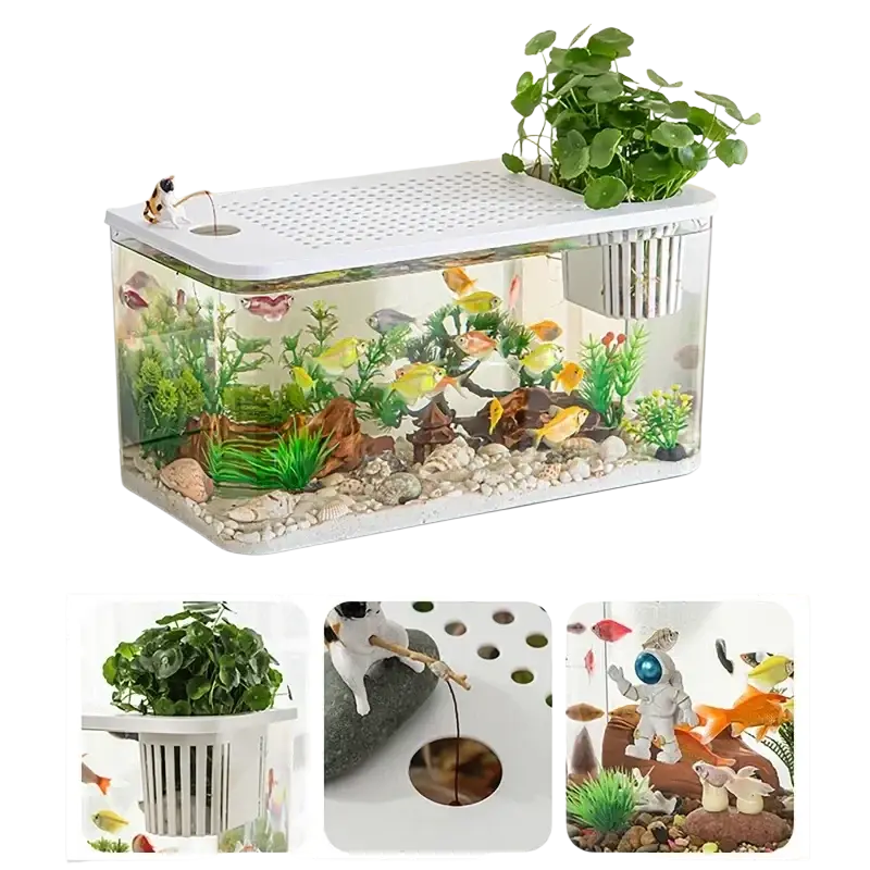 White rectangular transparent desktop fish tank with clear glass sides and perforated white lid featuring plants and figurines
