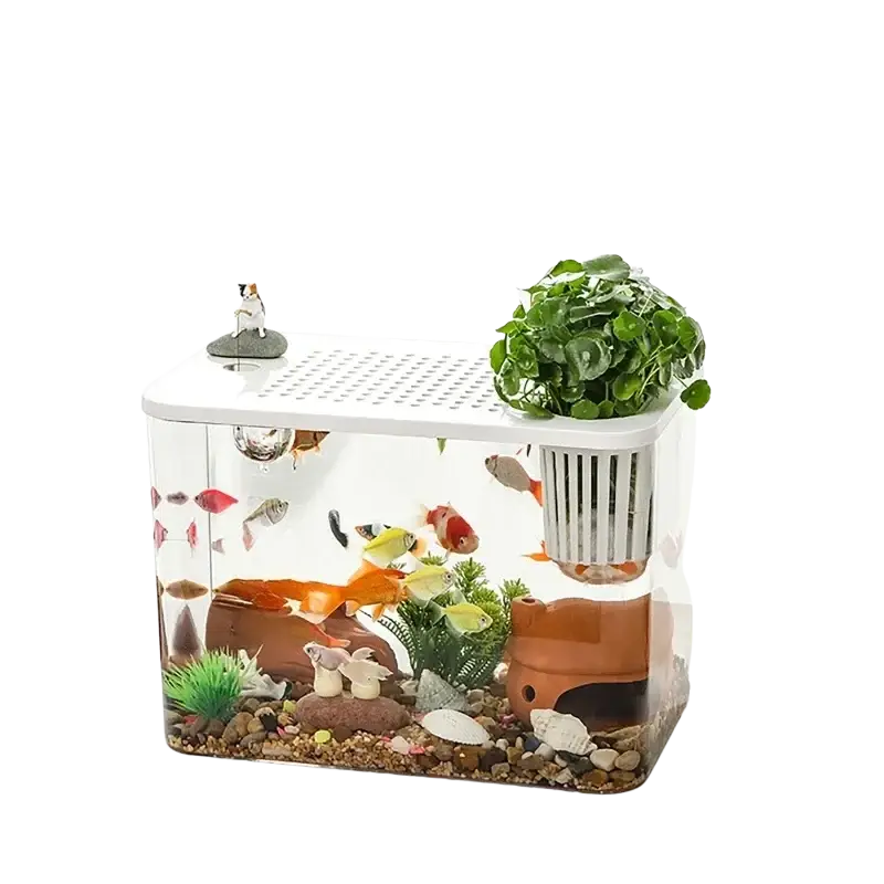 White rectangular transparent desktop fish tank with clear glass sides, white perforated lid, and integrated plant holder