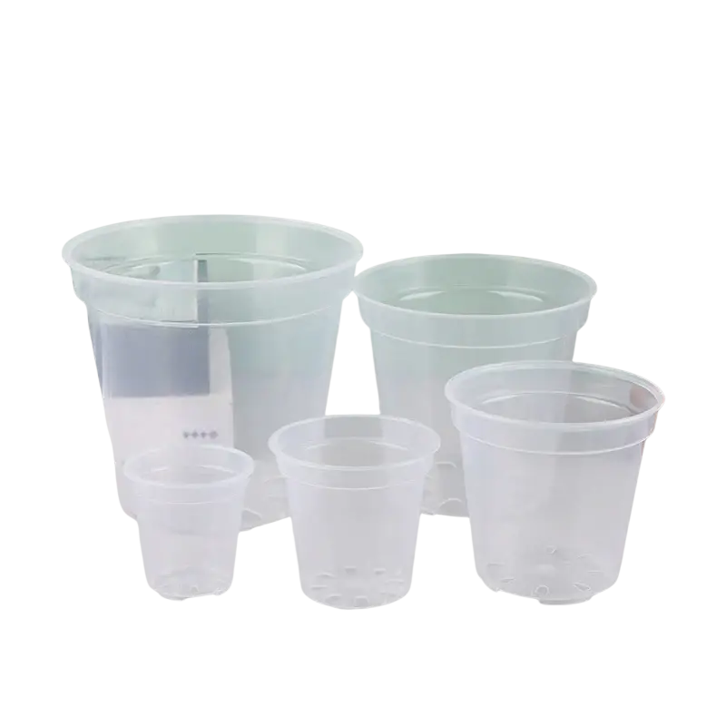 Transparent orchid pots made of clear plastic with drainage holes for growing phalaenopsis orchids effectively