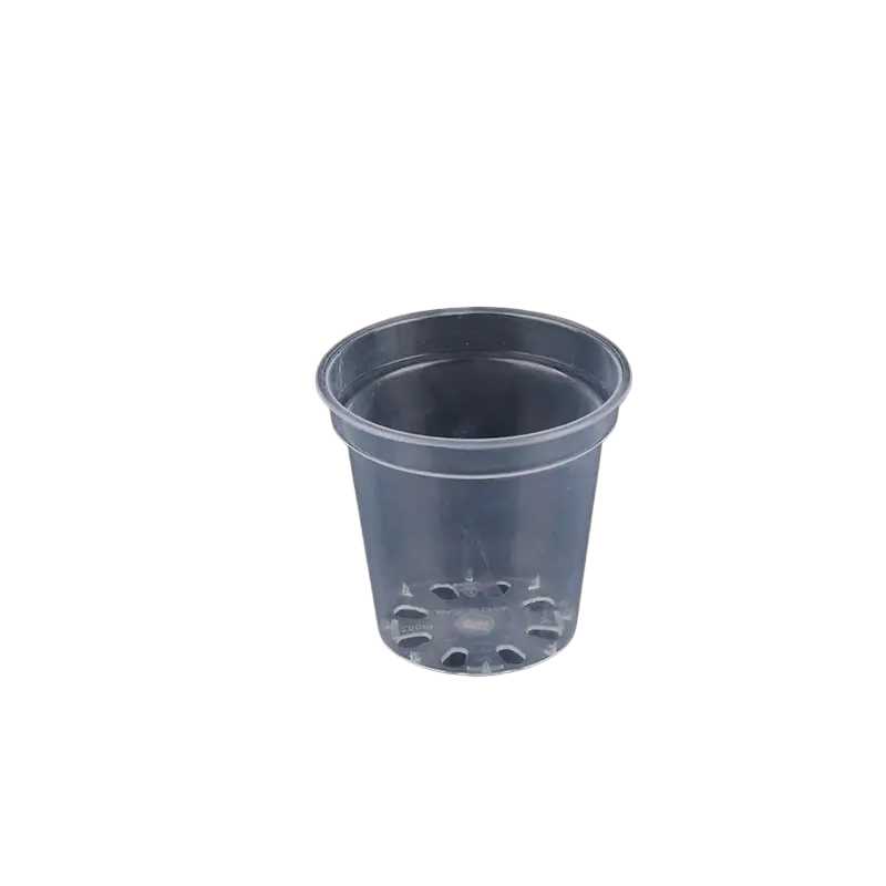 Clear plastic transparent orchid pot with flared rim and drainage holes for growing phalaenopsis orchids