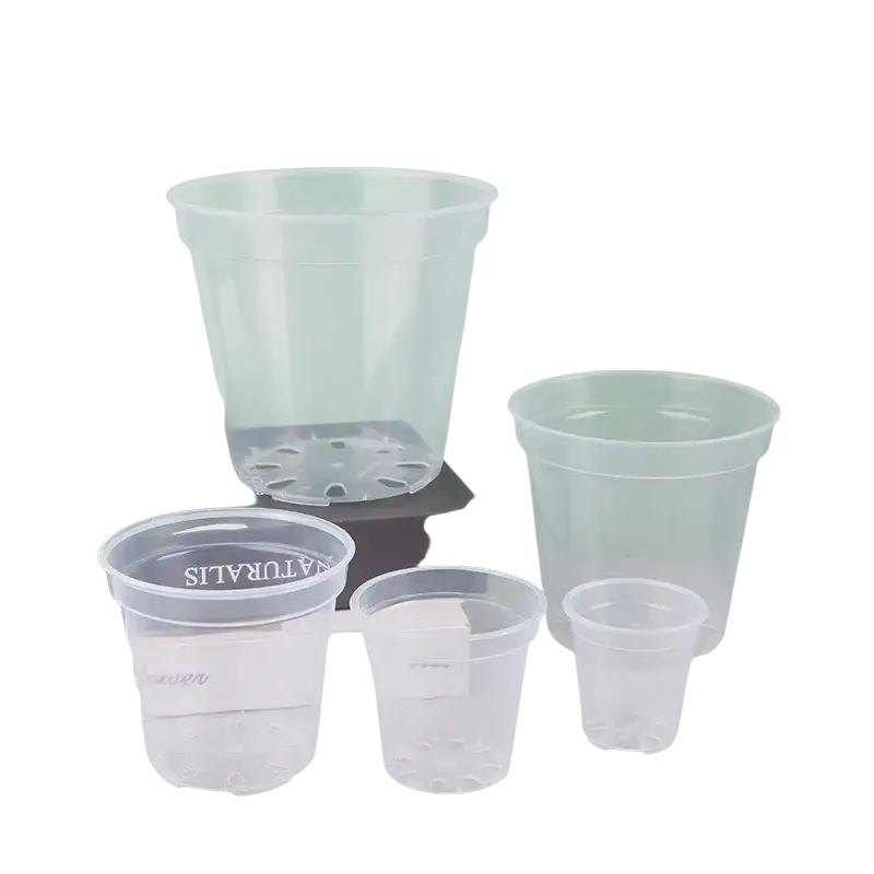 Transparent orchid pots in clear plastic with drainage holes for growing phalaenopsis orchids successfully