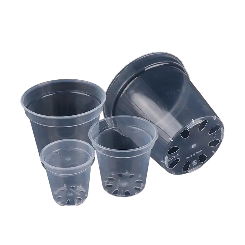 Clear plastic transparent orchid pots with drainage holes designed for growing phalaenopsis orchids of varying sizes