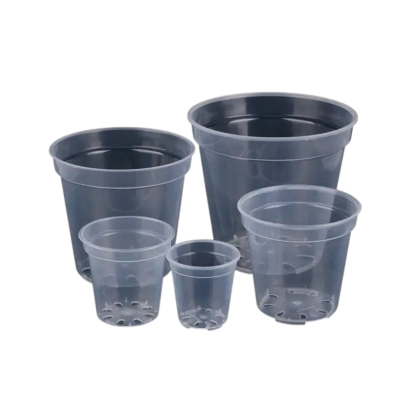 Clear plastic transparent orchid pots with perforated bases for growing phalaenopsis orchids in various sizes