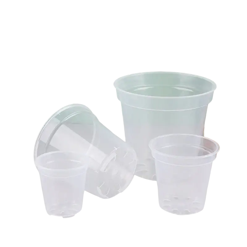 Transparent clear plastic orchid pots with lids and textured bases for growing phalaenopsis orchids of varying sizes