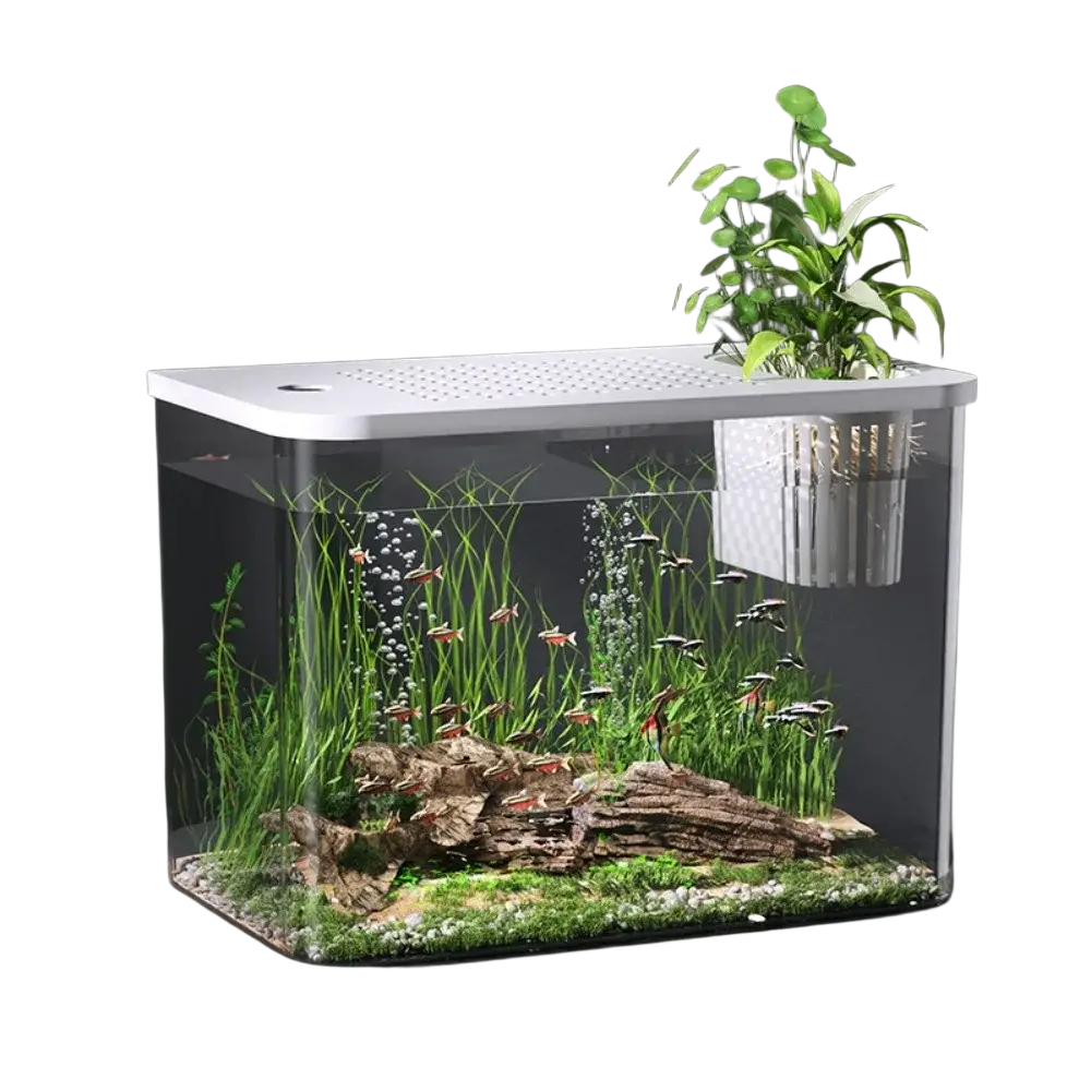 Modern white-framed transparent pet and abs fish tank with lid featuring clear glass sides and a lush green aquatic garden