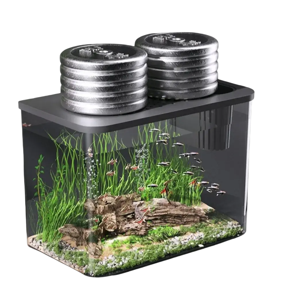 A sleek transparent rectangular fish tank with black lid and silver dumbbell weights resting on top surface