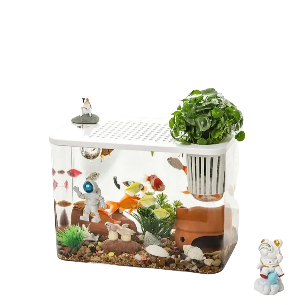 Transparent pet and abs fish tank with white lid made of glass and built-in filtration system for aquarium use