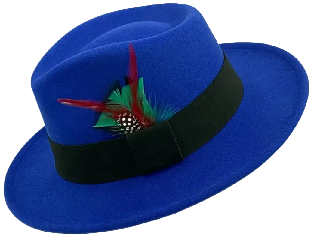 Vibrant royal blue unisex woolen felt fedora hat with black ribbon band and red green teal feather accent